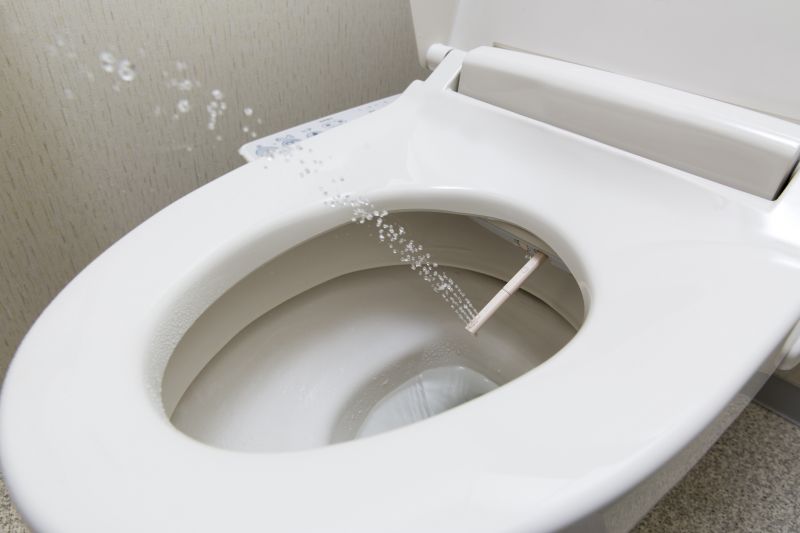 Bidet Repair Service in Denver, CO