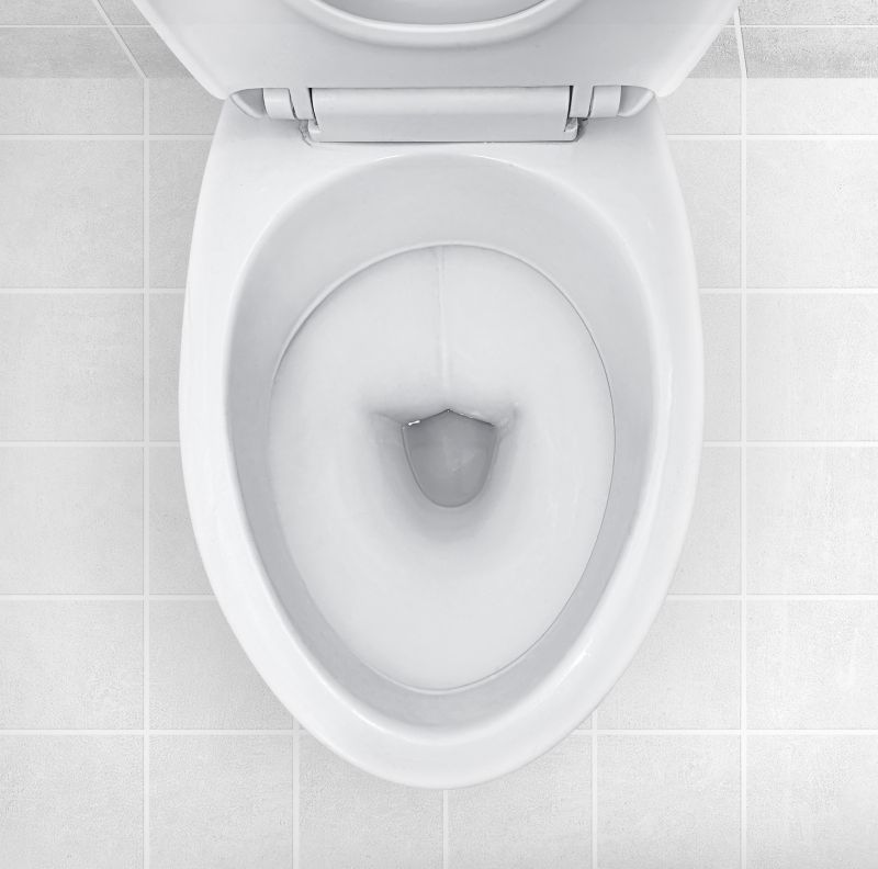 New Toilet Installation in Denver, CO