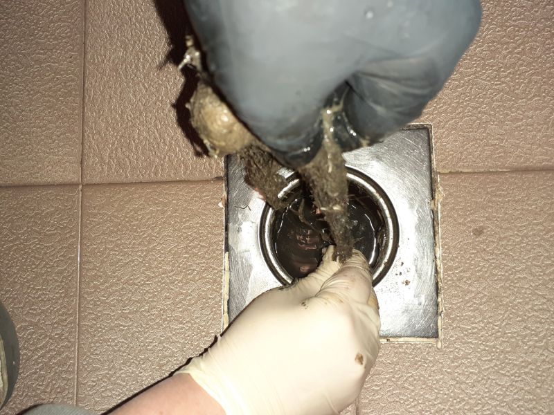 Shower Drain Clearing in Denver, CO