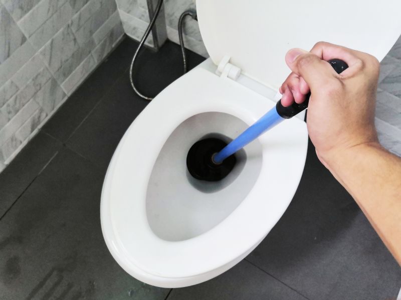 Toilet Plunging in Denver, CO