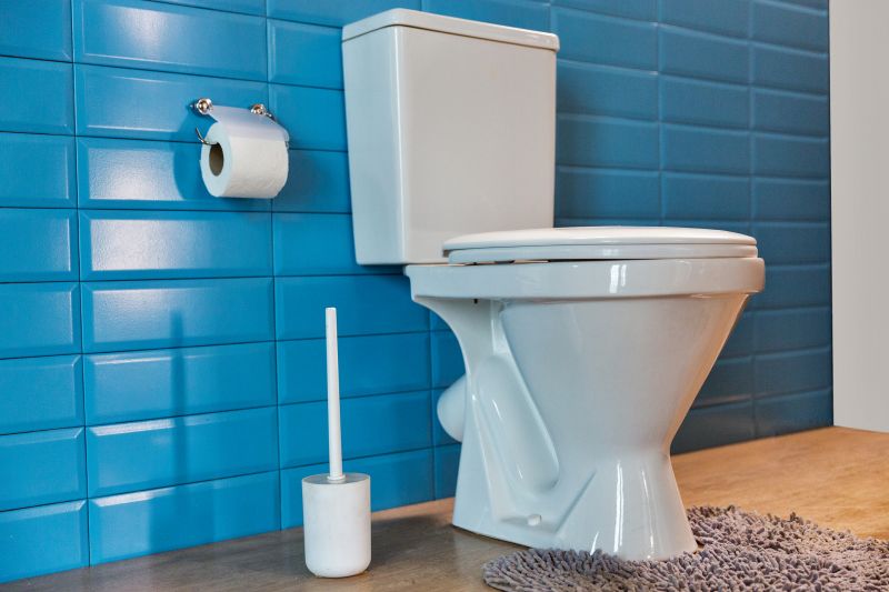 Toilet Repair in Denver, CO