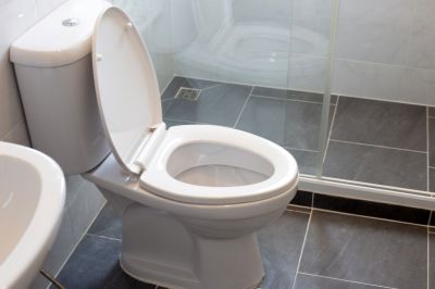 Toilet Service in Denver, CO
